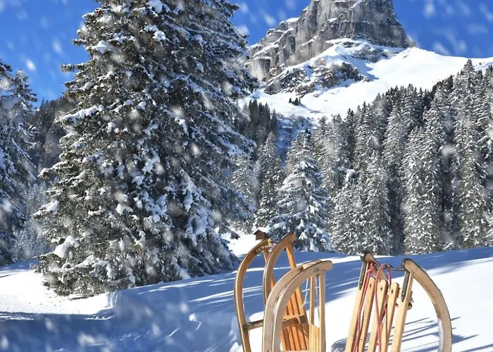 Neuwertiges 2-zi-ferienchalet - 55m2 By Interhome Semesterbostad *